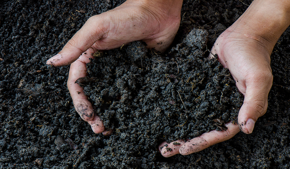 Recicla y crea tu propio abono ecológico para tus plantas