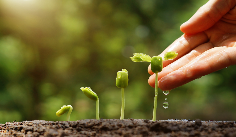 ¿Sabes cuántos tipos de agricultura ecológica existen?