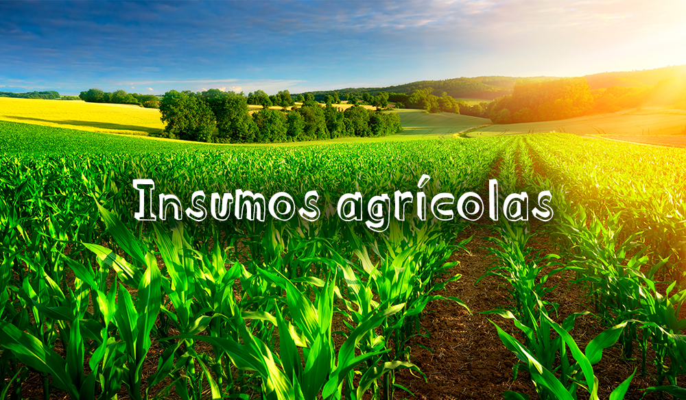 ¿Qué son los insumos agrícolas?