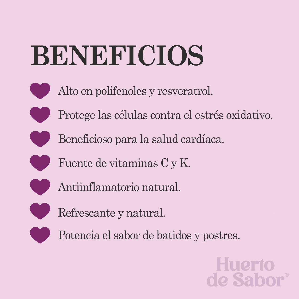 Imagen de Zumo de Uva Roja BIO Botella 3/4 L