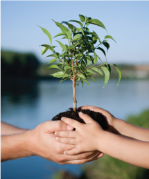 Compromiso con el medio ambiente, implementando prácticas de producción que minimizan el impacto con nuestro entorno.